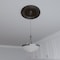 Ekena Millwork Traditional PVC Medallion (Canopies up to 11 1/2"), 19"OD x 3 1/2"ID x 1 1/2"P, Metallic Rustic Mist CMP19TRERU - alternate 8